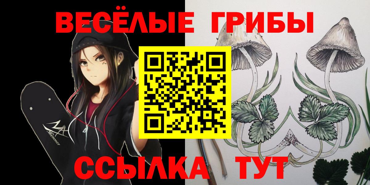Подольск  Галлюциногенные грибы Magic Shrooms  Вход с VPN 